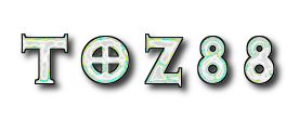 logo TOZ88